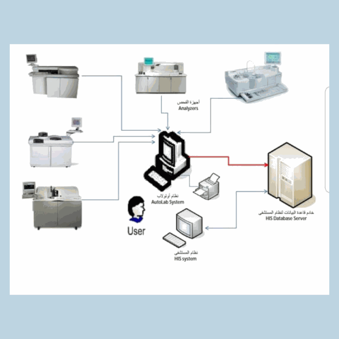 Odoo - Sample 2 for three columns